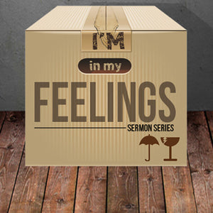 In My Feelings Sermon Series MP3